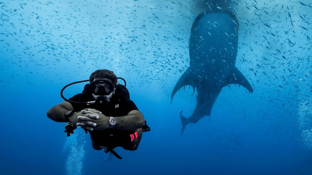 Unravel the mysteries of the ocean